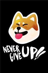 Never Give Up