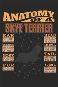 Anatomy Of A Skye terrier