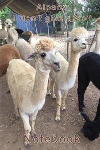 Alpaca - I Don't Give a Spit Notebook