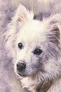 2019-2020 Academic Planner Weekly and Monthly Loyal Dog