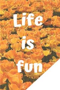 Life is Fun