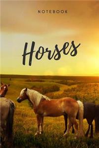 Horses notebook