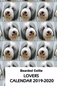 Bearded Collie Lovers Calendar 2019-2020