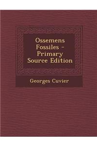 Ossemens Fossiles