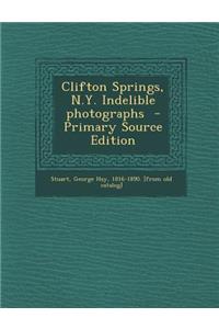 Clifton Springs, N.Y. Indelible Photographs