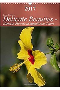 Delicate Beauties - Hibiscus Flowers in Magnificent Colors 2017