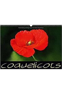 Coquelicots 2017