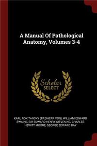 A Manual of Pathological Anatomy, Volumes 3-4