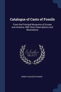 Catalogue of Casts of Fossils