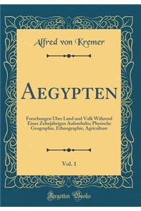 Aegypten, Vol. 1: Forschungen Ã?ber Land Und Volk WÃ¤hrend Eines ZehnjÃ¤hrigen Aufenthalts; Physische Geographie, Ethnographie, Agriculture (Classic Reprint)