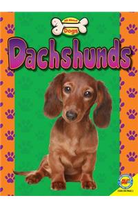Dachshunds