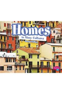 Homes in Many Cultures