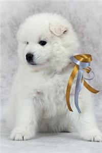 Samoyed Notebook & Journal. Productivity Work Planner & Idea Notepad: Brainstorm Thoughts, Self Discovery, to Do List