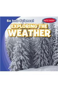 Exploring the Weather