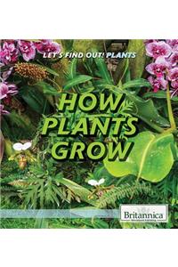 How Plants Grow