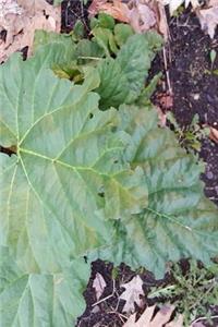 Journal Spring Rhubarb Leaves