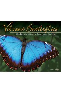 Vibrant Butterflies