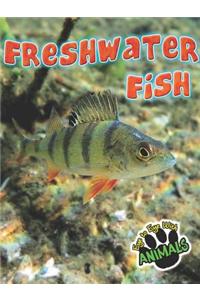 Freshwater Fish