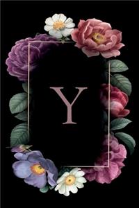 Y