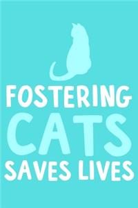 Fostering Cats Saves Lives