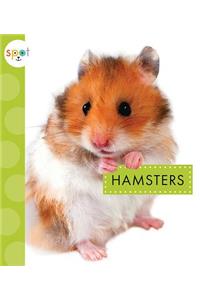 Hamsters