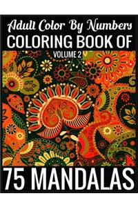 Adult Color By Numbers Coloring Book of Mandalas Volume 2