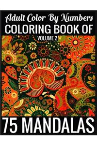 Adult Color By Numbers Coloring Book of Mandalas Volume 2