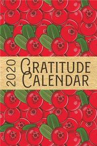 2020 Gratitude Calendar