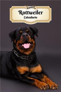 2020 Rottweiler Calendario