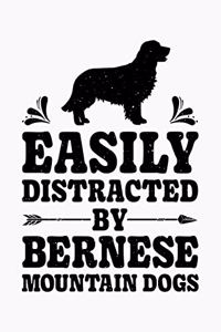 Easily Distracted By Bernese Mountain Dogs