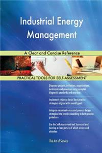Industrial Energy Management