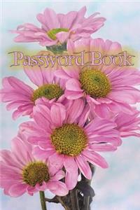 Password Book