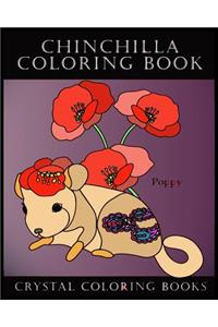 Chinchilla Coloring Book