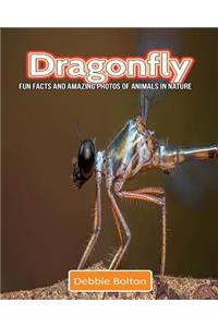 Dragonfly: Fun Facts and Amazing Photos of Animals in Nature