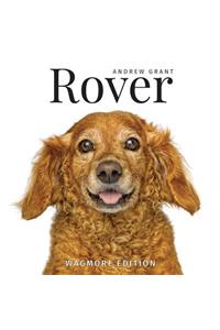 Rover