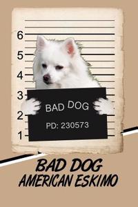 Bad Dog American Eskimo