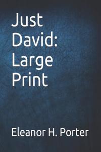 Just David: Large Print