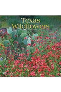 Texas Wildflowers 2020 Square Foil