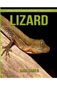 Lizard