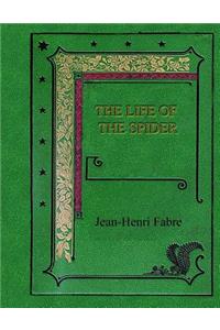 The Life of the Spider