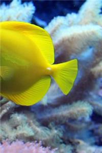 Fish Notebook