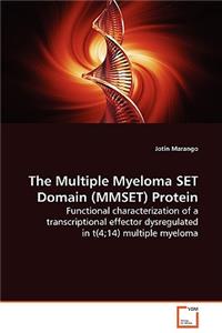 Multiple Myeloma SET Domain (MMSET) Protein