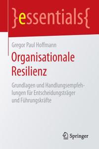 Organisationale Resilienz: Grundlagen Und Handlungsempfehlungen Für Entscheidungsträger Und Führungskräfte