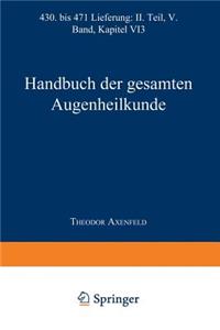 Handbuch Der Gesamten Augenheilkunde