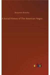Social History of The American Negro