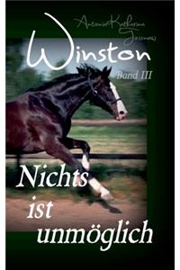 Winston - Nichts ist unmöglich