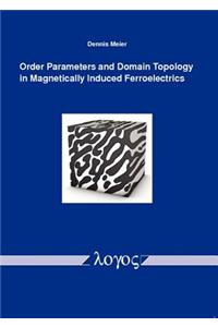 Order Parameters and Domain Topology in Magnetically Induced Ferroelectrics