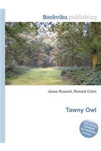 Tawny Owl