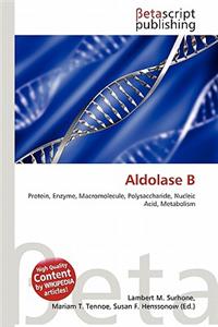 Aldolase B