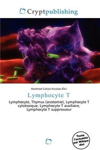 Lymphocyte T